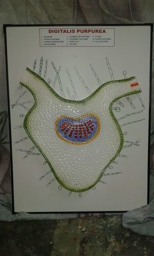 HOSPITAL EXAMINATION TABLE